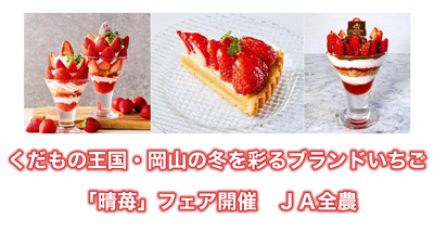 くだもの王国・岡山の冬を彩るブランドいちご「晴苺」フェア開催　ＪＡ全農