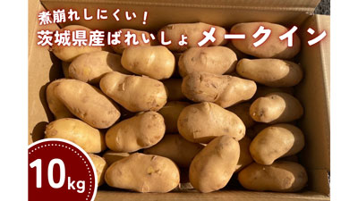 茨城県産ばれいしょ「メークイン」と「とうや」期間限定で販売中　ＪＡタウン