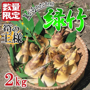 (期間限定) 鹿児島県産 たけのこ 8キロ 無農薬 無添加 新物 期間限定) 鹿児島県産 たけのこ 8キロ 無農薬 無添加 新物 期間限定)