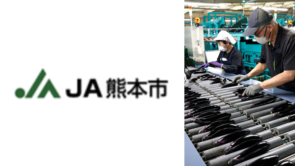 環境に優しい栽培で高品質を維持「肥後のでこなす」出荷最盛期迎える　ＪＡ熊本市