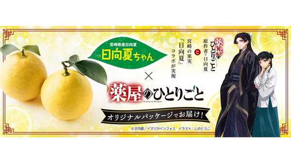 大人気小説「薬屋のひとりごと」とコラボ「日向夏」を販売中　ＪＡタウン
