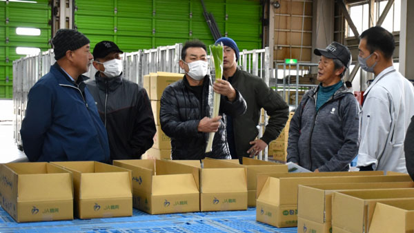 軟白ねぎ目揃い会を開く　ＪＡ鶴岡