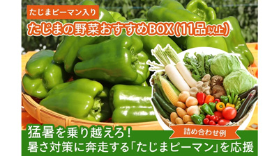 猛暑対策の潅水装置導入へ　兵庫「たじまピーマン」を食べて応援　ＪＡタウン