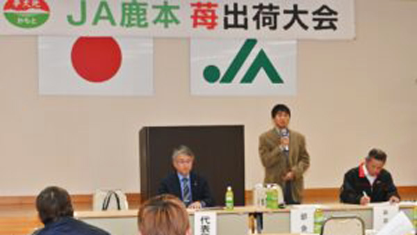 イチゴの出荷始まる　ＪＡ鹿本
