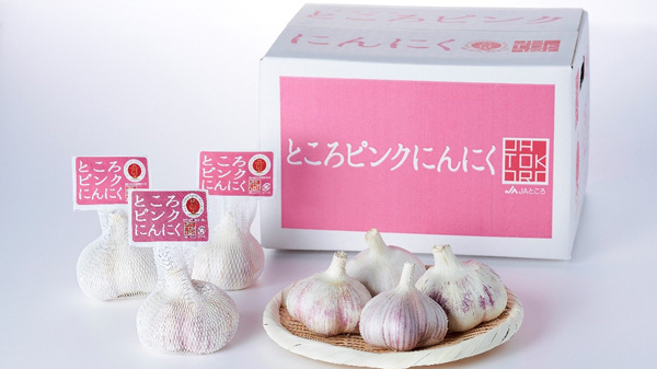 常呂町の在来種 希少な「ところピンクにんにく」ホクレンで販売開始