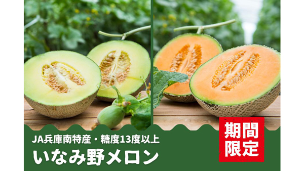 糖度13度以上　兵庫県産「いなみ野メロン」（青肉・赤肉）予約販売開始　ＪＡタウン