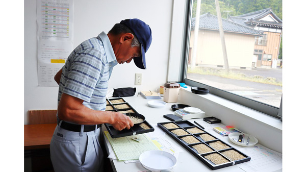 西郷倉庫で25年産米入庫始まる　ＪＡ鶴岡
