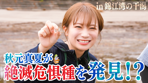 秋元真夏の「ゆるふわたいむ」絶滅危惧種を探しに錦江湾の干潟へ　ＪＡタウン