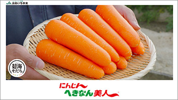 姿かたちは美しく味はピカイチ　砂地のやわらかさがおいしさの秘密　ＪＡあいち中央