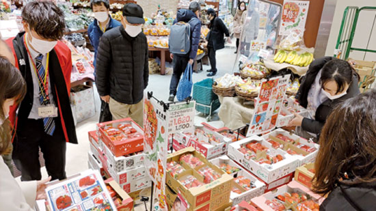 「いちご主産9県合同物販フェア」開催　ＪＡグループ　いちご主産県情報交換会