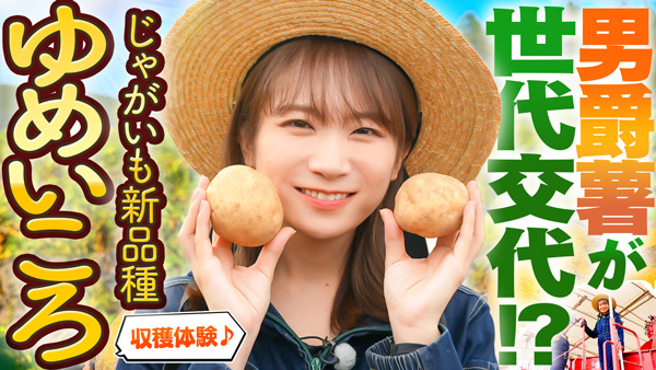 秋元真夏の「ゆるふわたいむ」北海道訓子府町で じゃがいもの新品種「ゆめいころ」を収穫　ＪＡタウン