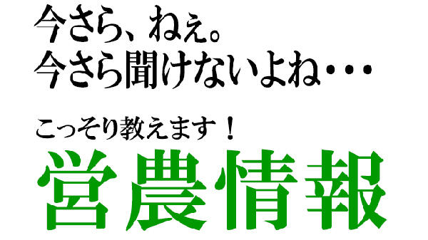 【今さら聞けない営農情報】第49回　作物の生理障害Ⅰ