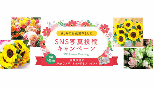 「#ＪＡのお花飾りました」SNS写真投稿キャンペーン開始　ＪＡタウン