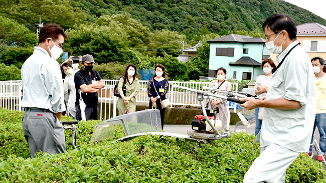 茶生産の担い手育成へ　農業塾に「茶コース」新設　ＪＡあつぎ