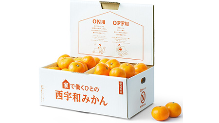 テレワーカーへ「家で働くひとの西宇和みかん」販売開始　ＪＡにしうわ