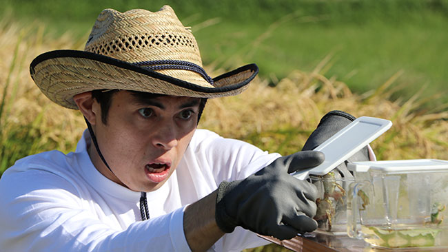小島よしおが田んぼの生きもの調査「特別授業」YouTubeで配信　ＪＡ全農