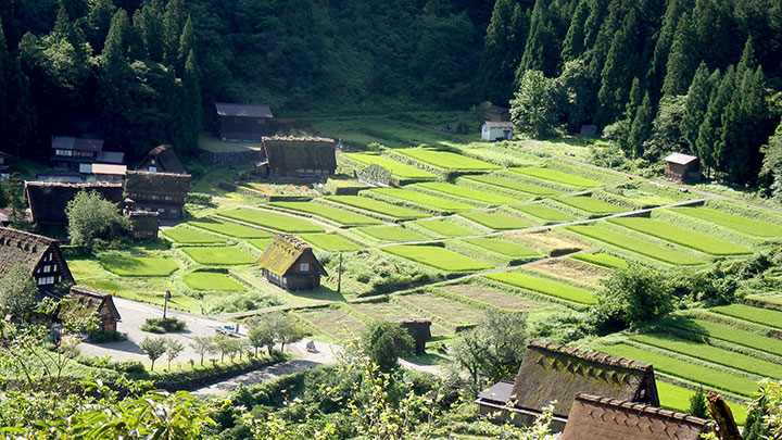 農泊に『追い風』コロナ禍の「三密」回避　ＪＡ都市農村交流全国協議が研修