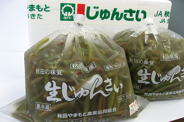JAタウンで旬の「生じゅんさい」を販売 JA全農あきた | JAcom 農業