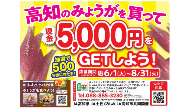 高知県産みょうがでキャンペーン　ＪＡ高知県、ＪＡ土佐くろしお、ＪＡ高知市