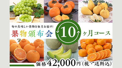 全国から厳選　旬の果物を毎月「果物頒布会」開始　ＪＡタウン