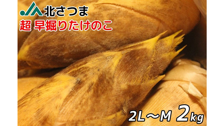鹿児島県産JA北さつま「超早掘りたけのこ」販売開始 JAタウン