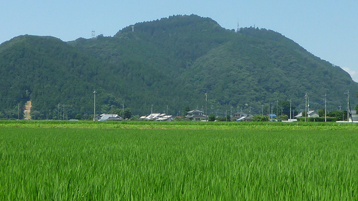【花ひらく暮らしと地域―ＪＡ女性　四分の三世紀（4）】豊かさを求めて＜上＞地位向上に産声上げる