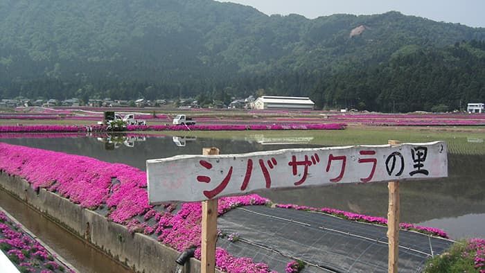 農協の役割 改めて認識【コロナ対策に学ぶ（9）】