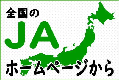 ゴーヤ部会が品評会を開催　ＪＡながさき西海