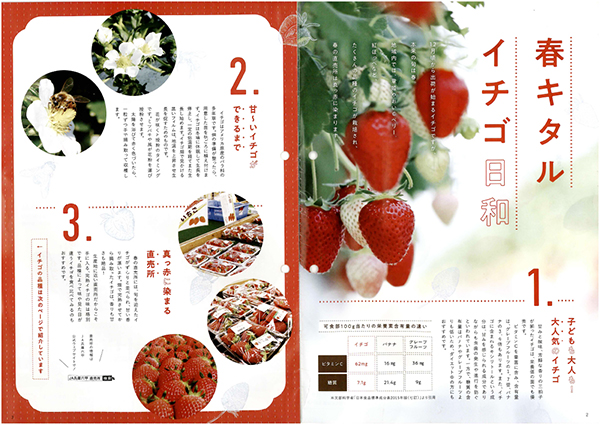 【ヒント＆ピント】 青果物 「旬」のいまが食べ時