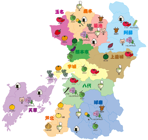熊本特集（1）経済連】青果物取扱高がV字回復 | JAcom 農業協同組合新聞