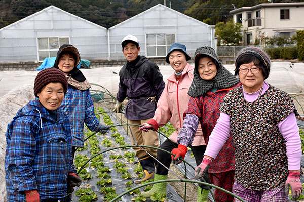 【現地レポート】ＪＡ静岡市女性部学校給食事業　未来をつくる人を育てる
