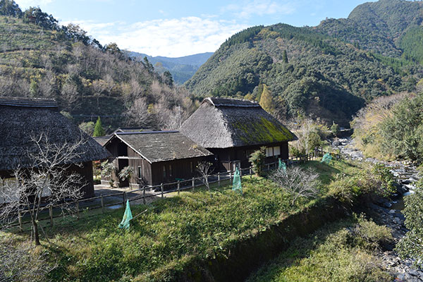 地域での多様な連携と担い手育成を　「成長産業化」は地域の衰退招く【榊田みどり　農業・農政ジャーナリスト】