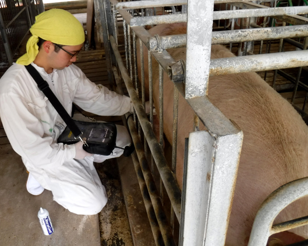 畜産農家の経営安定へ飼料の基礎研究で貢献　全農飼料畜産中央研究所（下）