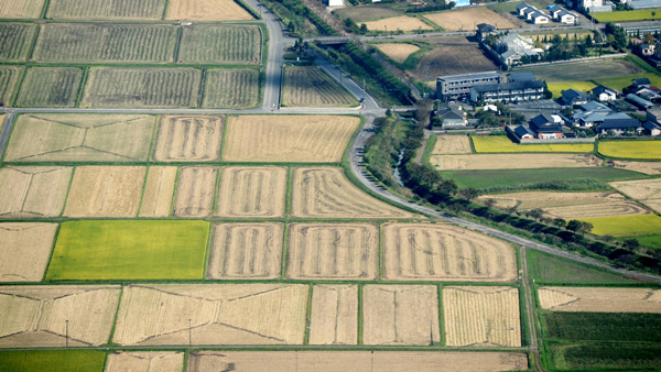土地改良区に多様な人材を確保　土地改良法の見直し方向（２）