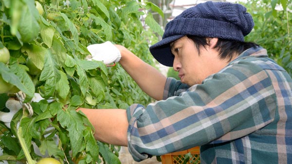 新たな農業の担い手を育成　就農支援で研修生を募集中