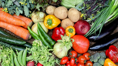 1月の野菜生育状況　さといも以外の価格　平年を上回る見込み　農水省