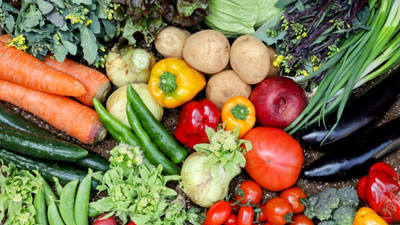 4月の野菜生育状況と価格見通し　果菜類、ほうれんそう、レタスなどは平年並みへ　農水省