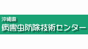 パパイヤ黒腐病を確認　感染源の適切な処分を　沖縄県病害虫防除技術センター