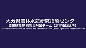 【注意報】イチゴのハダニ類多発で注意報　大分県