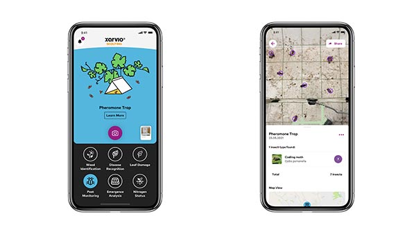 フェロモントラップを精密に分析　「xarvio SCOUTING」に新機能を実装　BASF