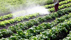 天然キレート剤市場における農薬用途　2030年に2億1500万米ドル到達予測
