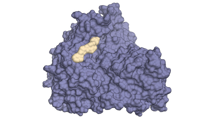 分子標的農薬の共同研究で新規除草剤のリード化合物創出に成功　アグロデザイン・スタジオ×PFN