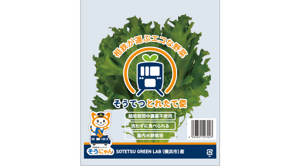 相鉄ブランド野菜「そうてつとれたて便」販売開始「貨客混載」輸送も実施