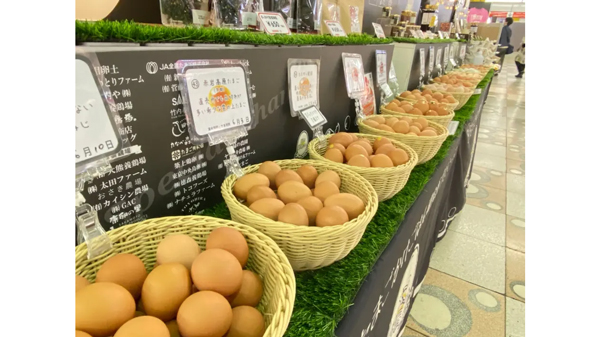 「幻の卵屋さん」アリオ北砂で5年ぶり出店　日本たまごかけごはん研究所