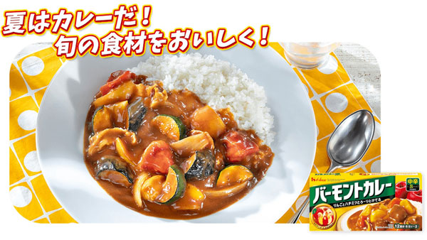 「ニッポンフードシフト by CURRY」開始　橋本環奈CM7月1日から　ハウス食品