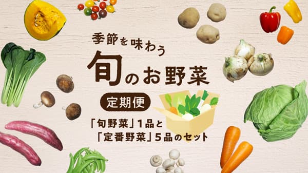 旬の野菜と定番野菜のサブスクで「季節を味わう 旬のお野菜定期便