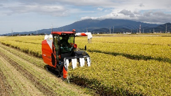 長野県で農業事業に本格参入「ちくほく農場」がグループ入り　綿半ホールディングス