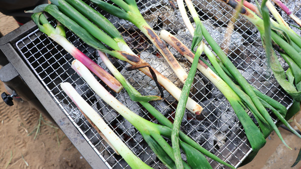 焼いて味わう採れたてねぎ　伊勢崎市「みんなの畑」で農業体験　パルシステム群馬