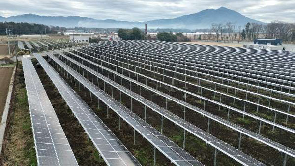 再エネ電力を虎ノ門ヒルズに供給「営農型太陽光発電所」茨城県筑西市で運転開始　森ビル