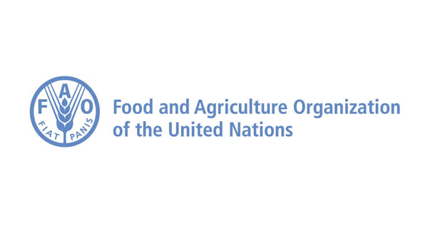 17億人が土地の劣化による収量減少を経験「世界食料農業白書」発表　FAO